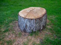 Best Firewood Processing and Delivery  in Laurel Hollow, NY