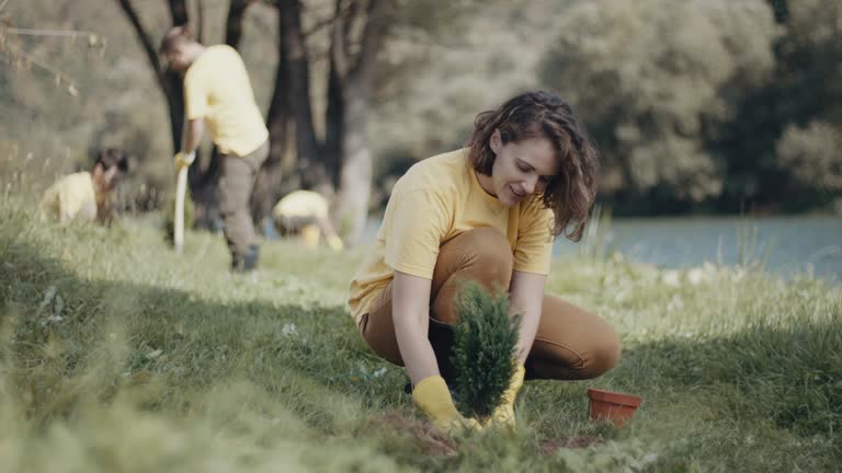 Best Lawn Disease Treatment  in Laurel Hollow, NY