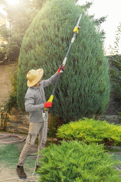 Best Storm Damage Tree Cleanup  in Laurel Hollow, NY
